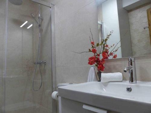 a bathroom with a shower and a sink and a toilet at Apartamento Ábside de San Juan II in Estella