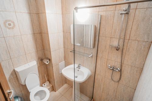 a bathroom with a shower and a toilet and a sink at Bâlea Cascadă in Cîrţişoara