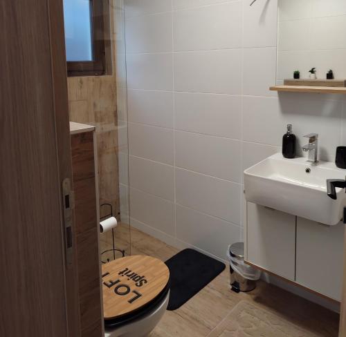La salle de bains est pourvue de toilettes et d'un lavabo. dans l'établissement VILA ANÐELIJA Zaovine, à Lazići