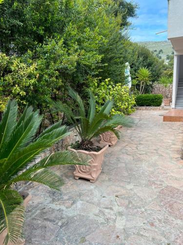 Garden Villa 6