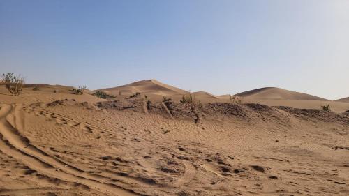 Gambar di galeri bagi Camp Gazelle du désert di Mhamid
