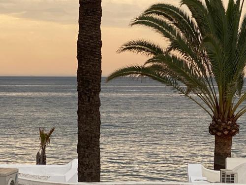 Deux palmiers sur une plage avec l'océan dans l'établissement GOLDEN MILE FRONT LINE BEACH RESORT, à Marbella