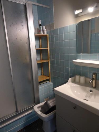 une salle de bain avec une douche, un lavabo et des toilettes dans l'établissement Résidence Rose Mousse, à Arcachon