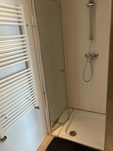 een badkamer met een douche en een glazen deur bij FeWo Kronsberg in Eldingen