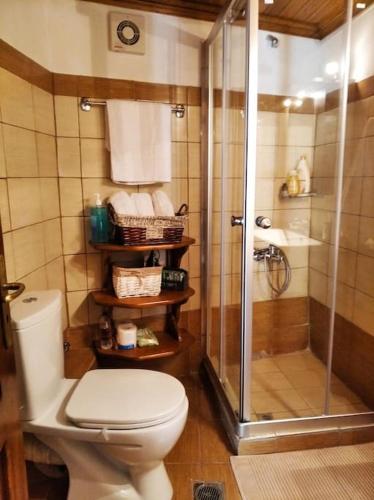 a bathroom with a toilet and a shower at Παραδοσιακό Σπίτι στο Μονοδένδρι in Monodendri