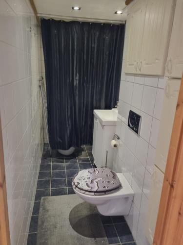 a bathroom with a toilet and a shower at Trondheim/Nardo in Trondheim