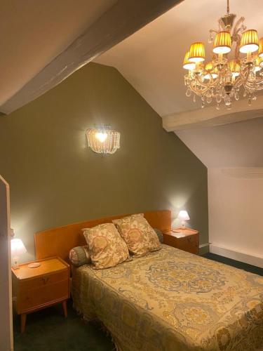 une chambre avec un lit et un lustre dans l'établissement Relais Napoléonien Gîte historique au vert, 1h de Paris, à Saint-Cyr-sur-Morin
