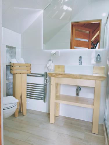 a bathroom with a sink and a toilet at WIlla JODŁA JACUZZI&SAUNA in Poronin