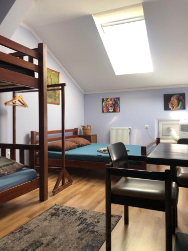 a bedroom with a bunk bed and a desk at Lions Heart Hostel in Lviv