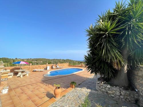 a patio with a swimming pool and a palm tree at Masia St Salvador 1582 in Cubelles