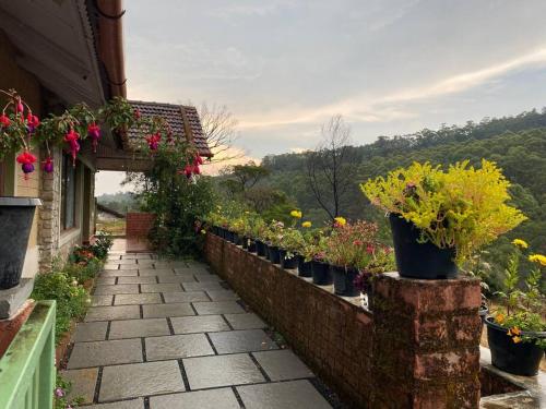 a walkway with potted plants and flowers on a building at Thendral: Delightful homestay on a hill near Ooty in Naduvattam
