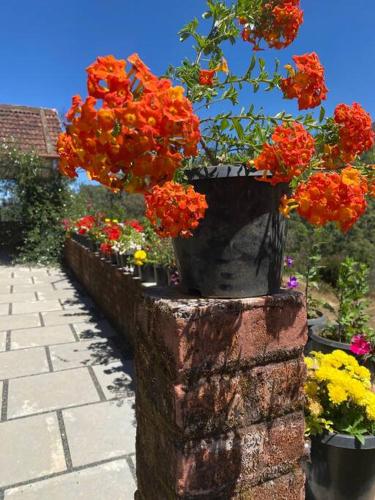 a planter filled with flowers on a brick wall at Thendral: Delightful homestay on a hill near Ooty in Naduvattam