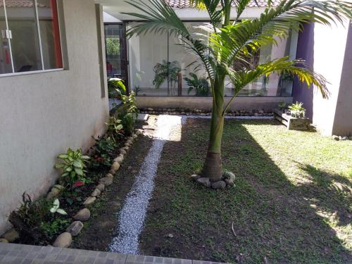 a palm tree in a yard next to a house at Bèlla Chacara Morretes - Pr in Morretes
