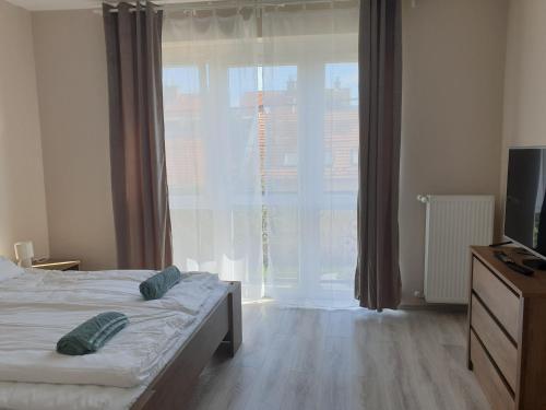 Chill House Apartman Eger 3300 Eger, 38 Szederkényi Nándor utca kép - 3