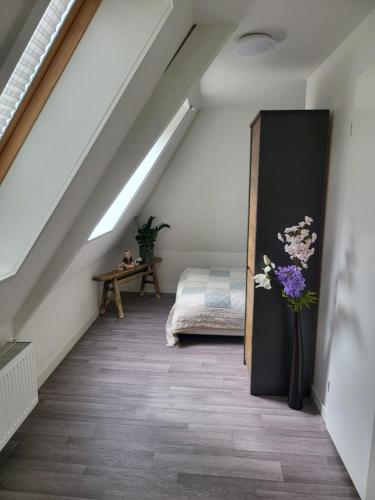 Stadslogement 12M – Photos 5