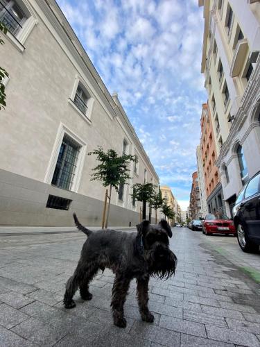 Home sharing La Justicia