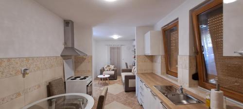 uma cozinha com um lavatório e um fogão em Apartmani Talija 3 i 4 Sokobanja em Sokobanja