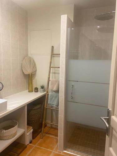 une salle de bain avec douche et porte vitrée dans l'établissement Pujaut , Gîte cœur de village « sous le clocher», à Pujaut