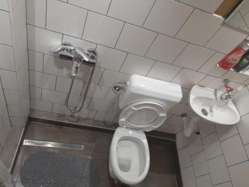 La salle de bains est pourvue de toilettes et d'un lavabo. dans l'établissement Jajce lake cottage-Plivsko jezero, à Jajce