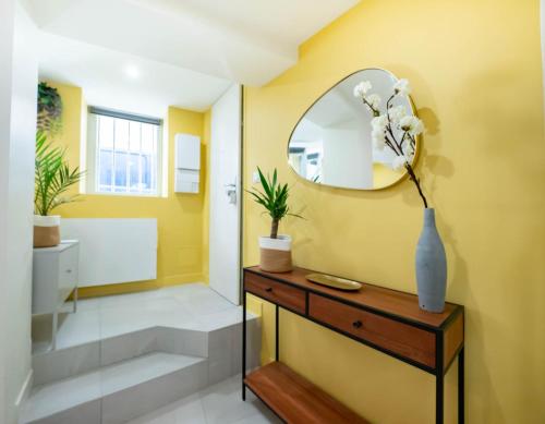 a bathroom with a mirror and a vanity and a sink at Le petit olivier en coeur de ville + Parking incl. in Montpellier