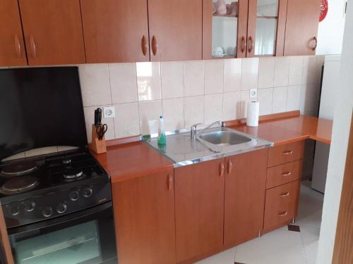 a kitchen with a sink and a stove at Apartmani Drage in Drage