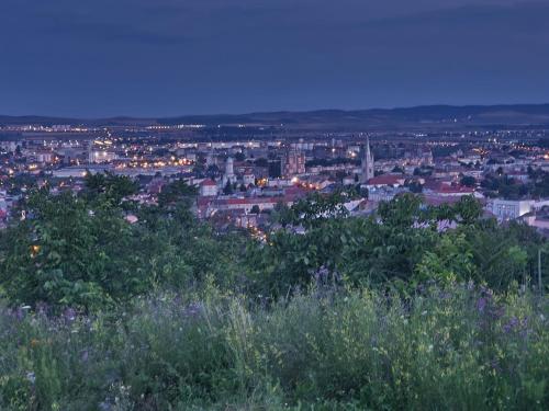 a view of a city from a hill with flowers at Bella Vista Turda in Turda