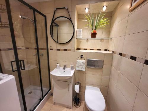 y baño con aseo, lavabo y ducha. en Tavlone kawalerka Gdańsk Stogi Plaża en Gdansk
