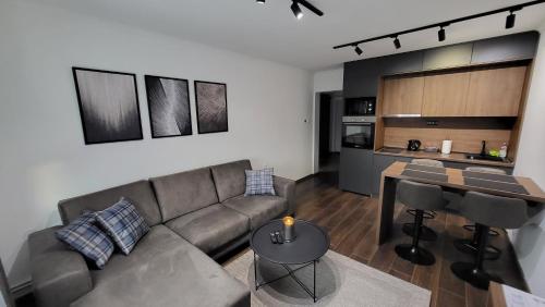 Η κουζίνα ή μικρή κουζίνα στο Apartments Spring