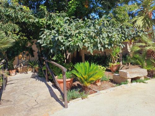Κήπος έξω από το La Mimosa di Erice