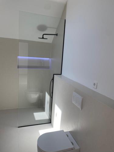 a white bathroom with a toilet and a shower at Zadar Penthouse in Zadar