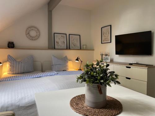 a bedroom with a bed with a television and a potted plant at Weberhof Apartment 6 in Münster