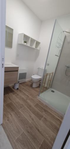 een badkamer met een toilet en een wastafel bij Agréable studio in Bourgueil