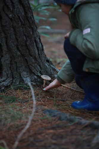 a person holding a mushroom next to a tree at A Hilltop Country Retreat in Swellendam