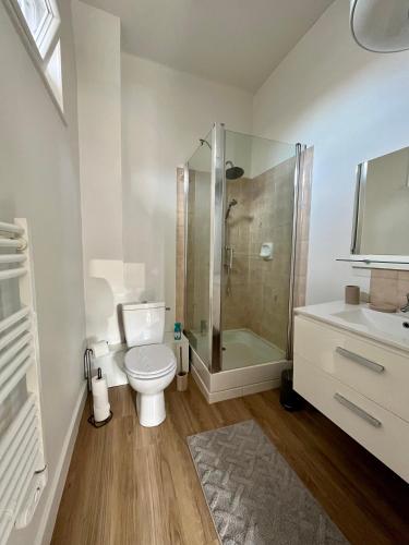 a bathroom with a shower and a toilet and a sink at Appartement Vichy - Hyper Centre in Vichy