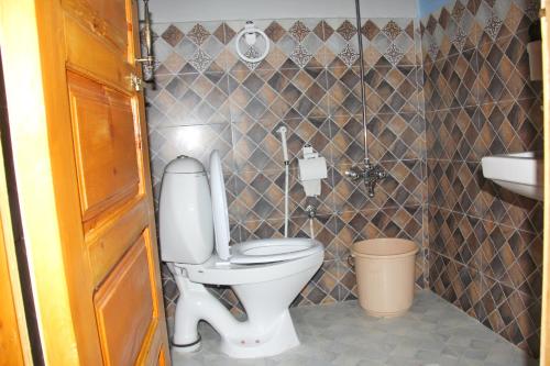 a bathroom with a toilet and a sink at Rakaposhi Amin Hotel & Restaurant Pissan Hunza Nagar Gilgit Baltistan in Gilgit