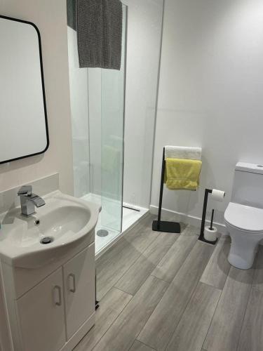 a bathroom with a sink and a toilet and a mirror at Simpsons in Lairg