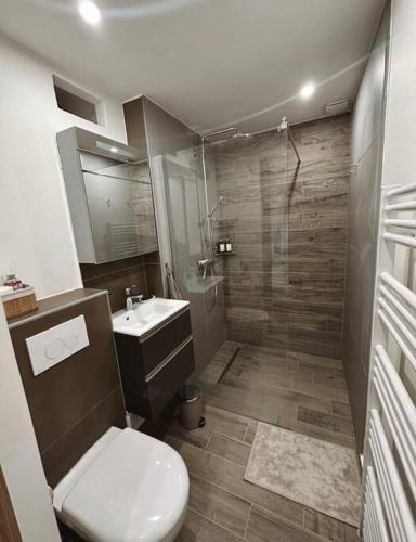une salle de bain avec toilettes, lavabo et douche dans l'établissement Charmant duplex proche Paris, à Saint-Maurice