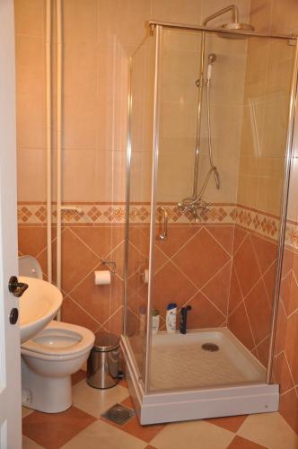 a bathroom with a shower and a toilet at Marko's Place Apartment in Skopje