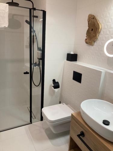 a bathroom with a shower and a toilet and a sink at Wav E225 in Międzyzdroje