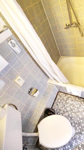 a bathroom with a toilet and a bath tub at Vegan Hotel und Restaurants Nicolay 1881 in Zeltingen-Rachtig