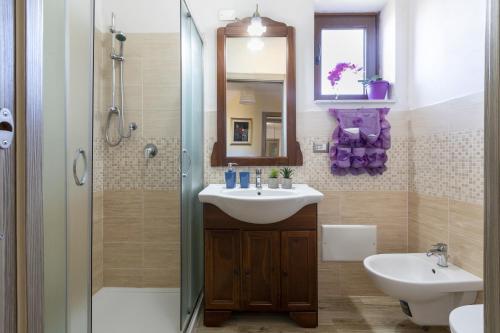 uma casa de banho com um lavatório, um chuveiro e um espelho. em Relax House and Fitness 9 em Villanova Monteleone