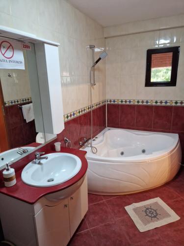 a large bathroom with a tub and a sink at Vila Sara in Chişoda