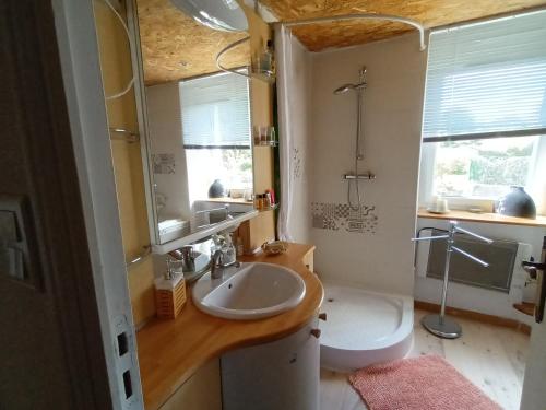 une salle de bain avec un lavabo, une douche et des toilettes dans l'établissement maison piscine privée proche de Rodez, à Cassagnes-Bégonhès