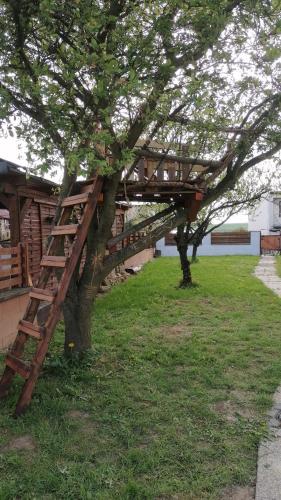 ein Baum mit einer Holzleiter, die an einem Baum lehnt in der Unterkunft Králíkov01 in Tupesy