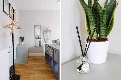 Cosy studio flat moments from the beach, Kemptown photo 13