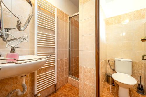 a bathroom with a sink and a toilet and a shower at Penzion a kemp Koruna in Zlatá Koruna
