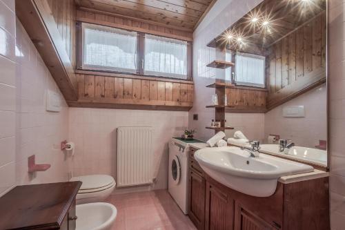 a bathroom with a sink and a washing machine at Chalet Pradat in Arabba