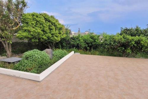 a patio with a bench and some bushes and trees at Casa Eoliana in Lipari