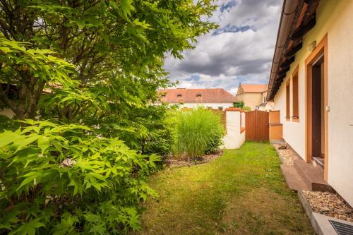 a garden with green plants next to a house at Penzion a kemp Koruna in Zlatá Koruna
