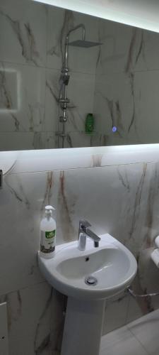 a white bathroom with a sink and a shower at Golem Apartment in Golem